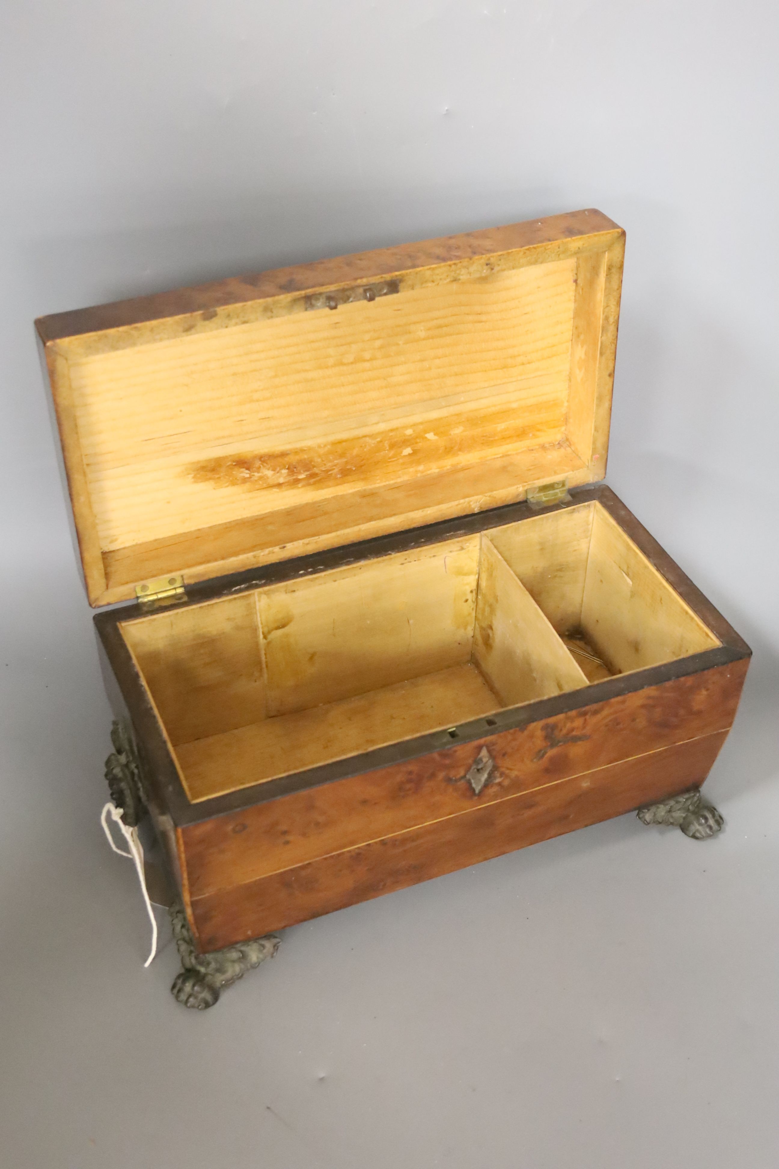 A late Georgian burr yew tea caddy, on gilt metal lion’s paw feet (lacking interior), 31 x 20cm, and a cast brass letter rack (2)